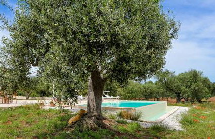 Trullo Delori with infinity Pool - Photo 27