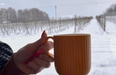 Domek na Winnicy Zagrabie - Foto 2