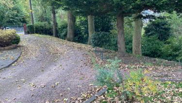 Country Mill House - Foto 3