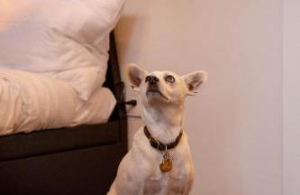 Viaduct Loft at Kestrel Hotel - Foto 20