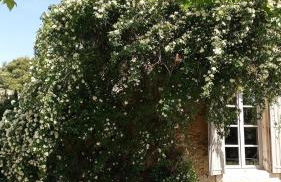 Mas Samuel magnifique demeure en provence avec piscine et jacuzzi - Foto 11