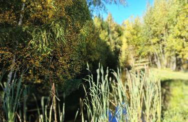 Kolorowe Wzgórze Zagórze - Foto 54