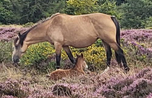 Beautiful One Bed Studio Flat - Dog Friendly - Foto 15