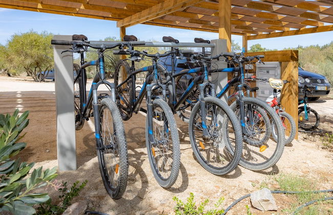 Quinta da Amendoeira - The Farmhouse - Photo 25