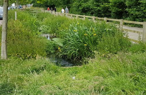 Streamside Apartments - Foto 54