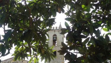 Il campanile - Foto 4