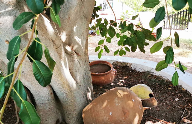 Villa Irene - Foto 43