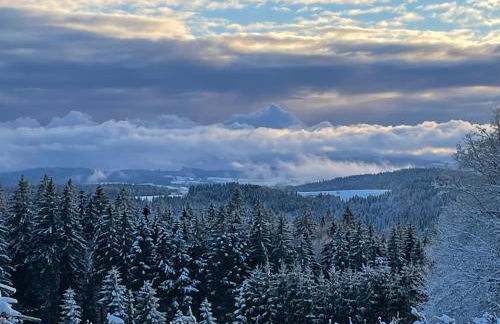 Große Ferienwohnung Hundertwasser am Dreisessel in Altreichenau - Foto 40