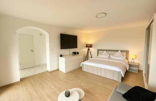 Modernes Apartment mit 180° Bergblick - Photo 1