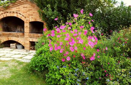 Podere Cunina - Foto 20