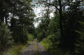 Übernachten in unseren Crutpracht Gästezimmern mit großem Bauernfrühstück, ab April 24 auch in der DUFFEL-SCHEUNE - Foto 39