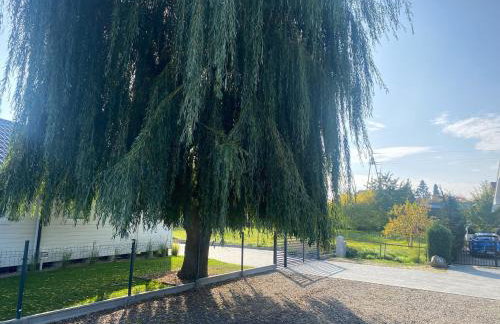 Dolina Wisełka - Foto 51