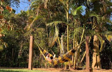 Sítio Espatódea - Foto 69