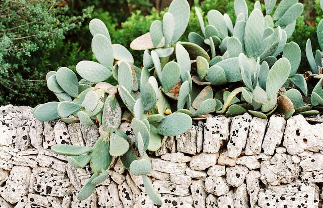 Casal Santa Eulàlia Hotel - Photo 74