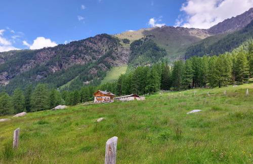 Agriturismo Malga Pontevecchio - Foto 2