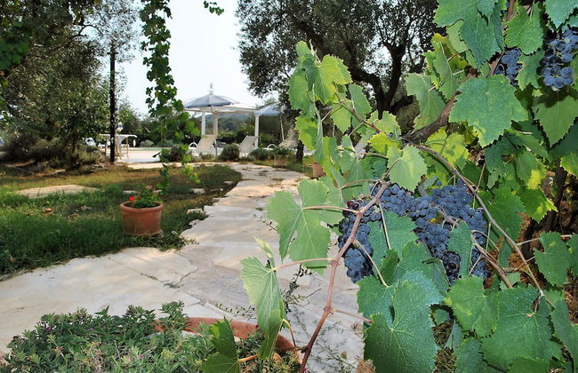 Meridiana Holiday House With Shared Swimming Pool - Foto 18