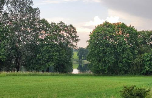 Domki Zaczarowana Łąka Borach Tucholskich - Foto 23