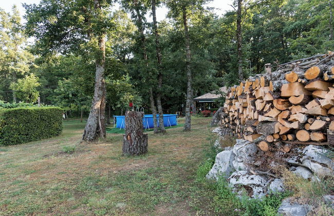 Giardino Boschivo - Foto 22