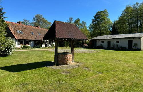 Krzywiec - Pasieka na Szlaku Kopernika - Foto 12