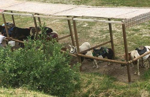 Appart st François longchamp - Photo 21