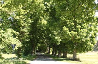 Ferienwohnung Felix - Photo 35