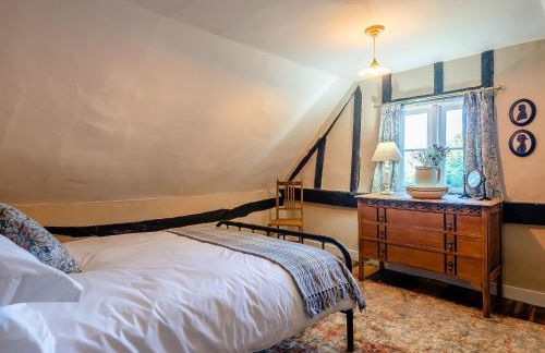 Little Crown - Foto 14