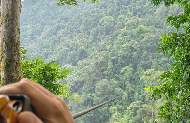 Tirolesa sobre a selva tropical - Foto 7