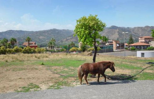 Villa Rossella - Foto 26