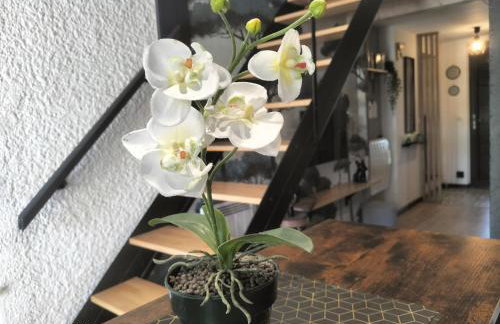 Au bord du vieux Moulin - près de Bordeaux - Foto 28