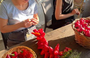 Ficarazzi - Photo 17