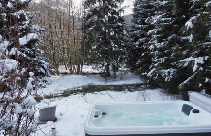 Le Petit Bouchot & Jacuzzi privatif proximité Gerardmer & La Bresse - Foto 9