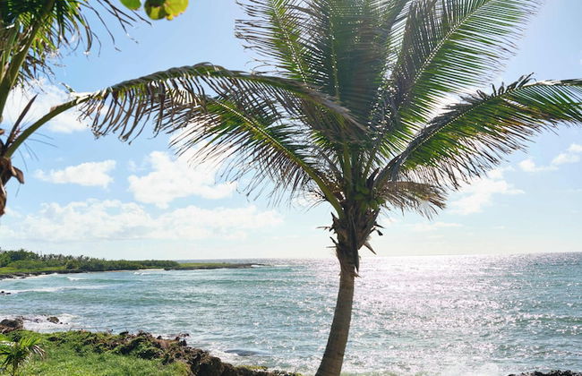 Ocean Spray Apartments - Foto 66