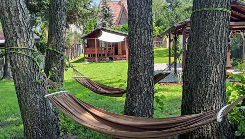 Domek na Orlej - Foto 5, Garden, Garden view