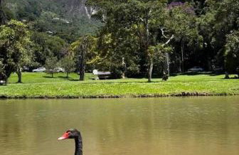Refúgio na Serra Condomínio em Olaria, Nova Friburgo-RJ - Foto 56