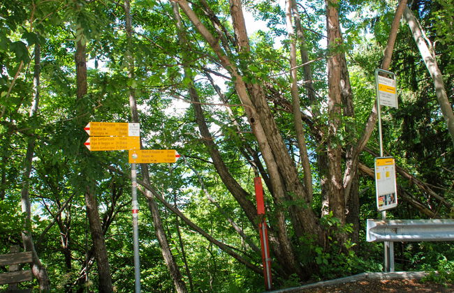 Baita Monti di Piazzogna - Foto 40