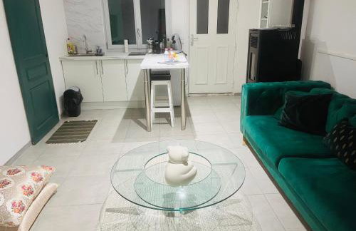 Chic and Peaceful apartment Roissy Charles de Gaulle Airport 15mins-Parc des Expositions Villepinte 10mins- Disneyland 30mins - Foto 3