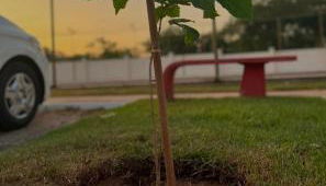 Apto Completo 5p Belém BR COP30 - Foto 5