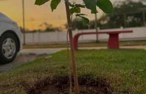 Apto Completo 5p Belém BR COP30 - Foto 5