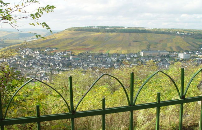 Anton Zimmermann Winery - Photo 22