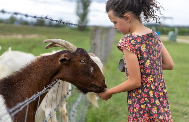 Ridgemill Escape - Photo 25