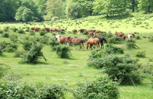 Apartment in Sabina with Panoramic Views - Foto 39