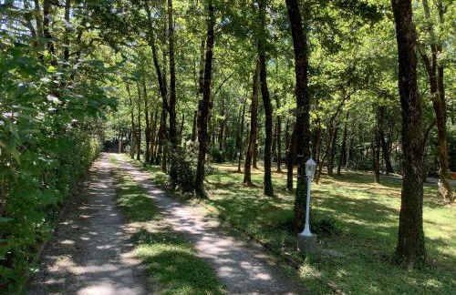 La Morandiere - Foto 45