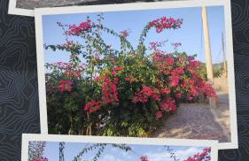 La Perla di Buffari Appartamento Ciappina - Photo 30