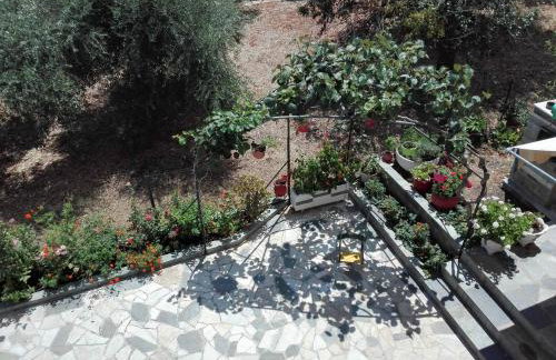 Toulatos Pantelis - Photo 41
