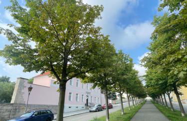 Ferienwohnung ROSA Allee34 - Foto 6