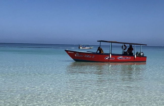 Seacret Studios - Cozy Jamaican Retreat Apts by RedAwning - Photo 25