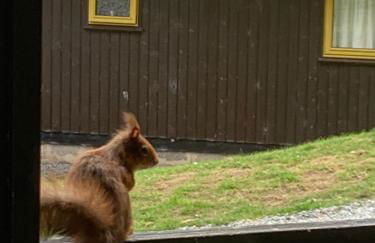 Milton Bay Luxury lodge wrapped in exceptional scenery - Foto 12