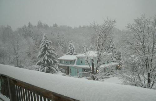 Townhouse W Private Deck & Mt View - Foto 7