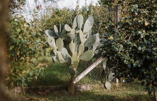 Casa Rural Oliveira do Bairro - Foto 16