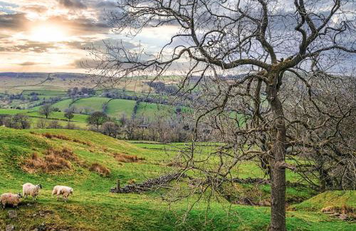 Pygreave Cottage - Photo 11